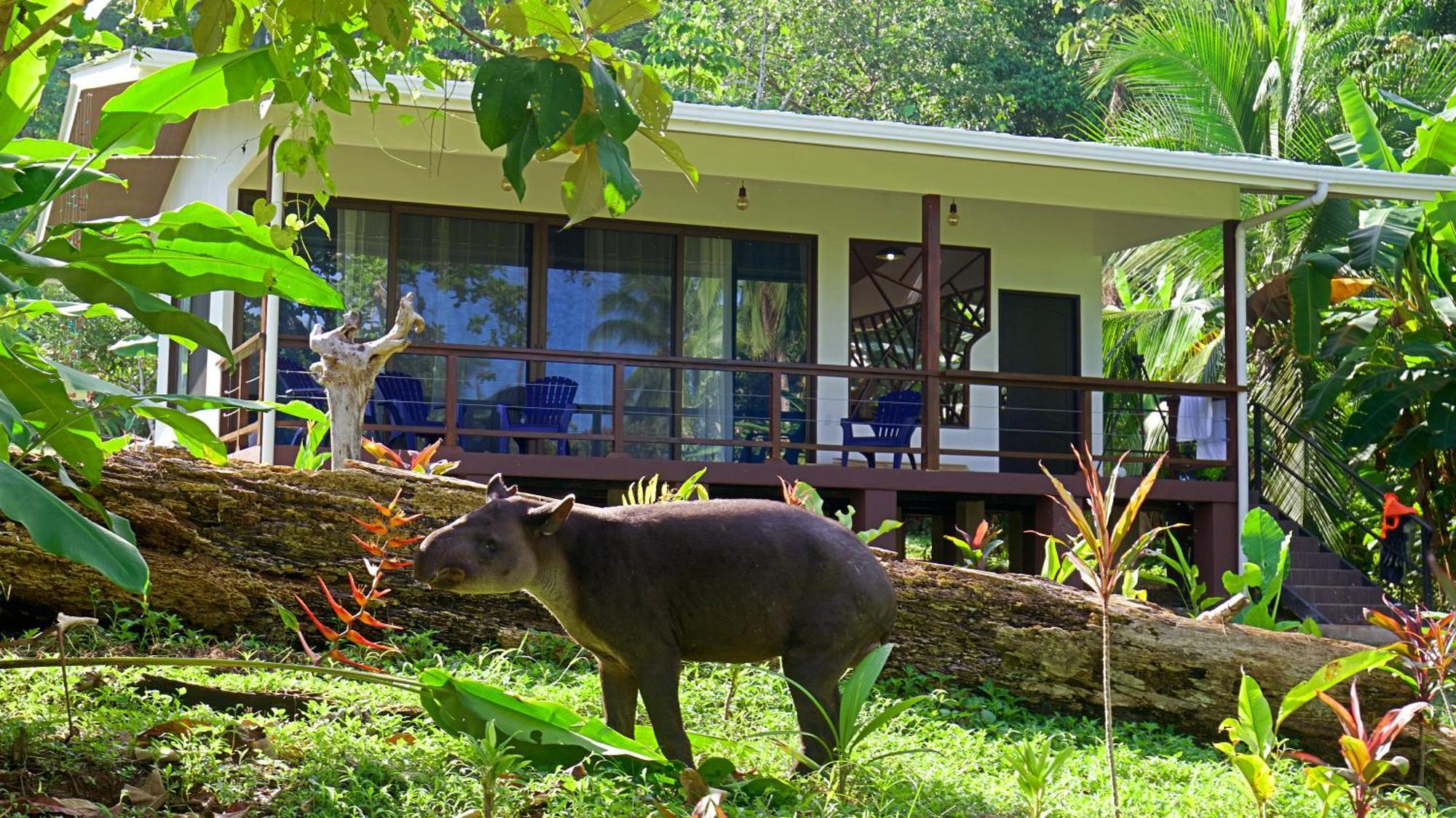 Eden Corcovado Villa San Pedrillo Exterior photo
